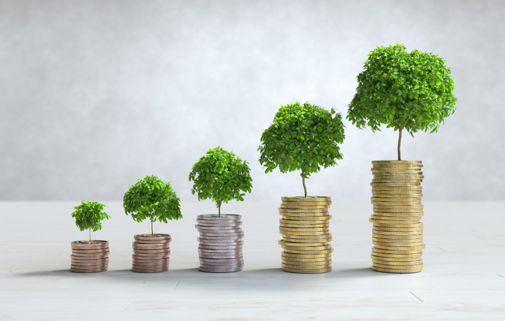 Savings Schemes